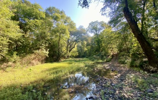 5 Acre Off the Grid Retreat with Creek Frontage and Hunting Opportunities on Daisy Side of Kiamichi Wilderness