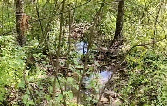 20 Acres with Electric and Live Water Touching Ozark Plateau National Wildlife Refuge