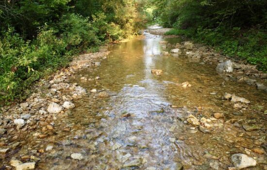 9.03 Acres with Live Water on Indian Creek!