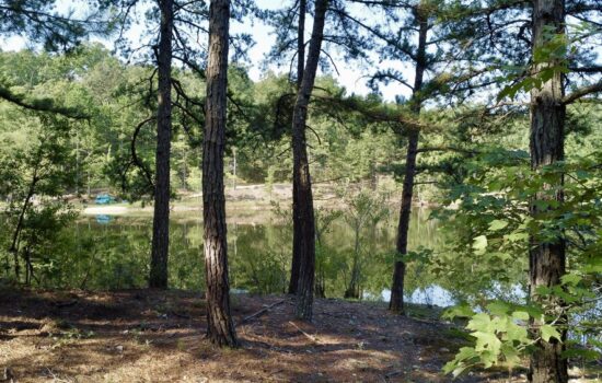 5.3 Acres Near Annapolis, Missouri on Beautiful Pond