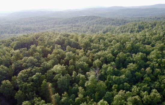 37 Unrestricted Acres In Ozarks Near Mark Twain National Forest