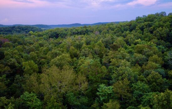 15 Acres in Reynolds County, MO with Gorgeous Timber