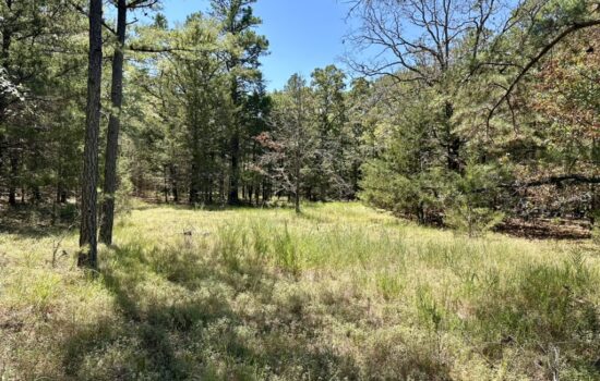 10 Acres Near Antlers, OK – No Restrictions – Great Hunting!